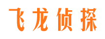 进贤侦探